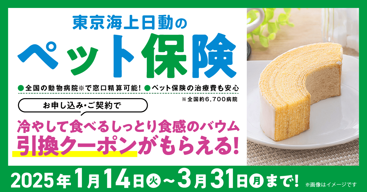 お申し込み・ご契約で冷やして食べるしっとり食感のバウム引換クーポンがもらえる！ 2025年1月14日（火）〜3月31日（月）まで！